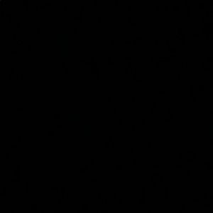 Meet your Posher, Tanner